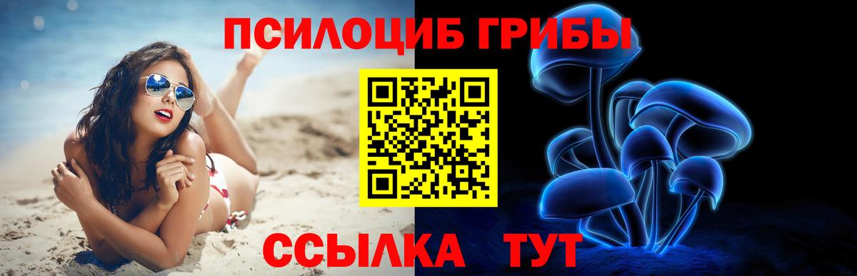 что такое наркотик  Вход с VPN  Орехово-Зуево  Галлюциногенные грибы мицелий 