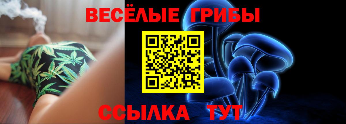 Галлюциногенные грибы мухоморы Орехово-Зуево